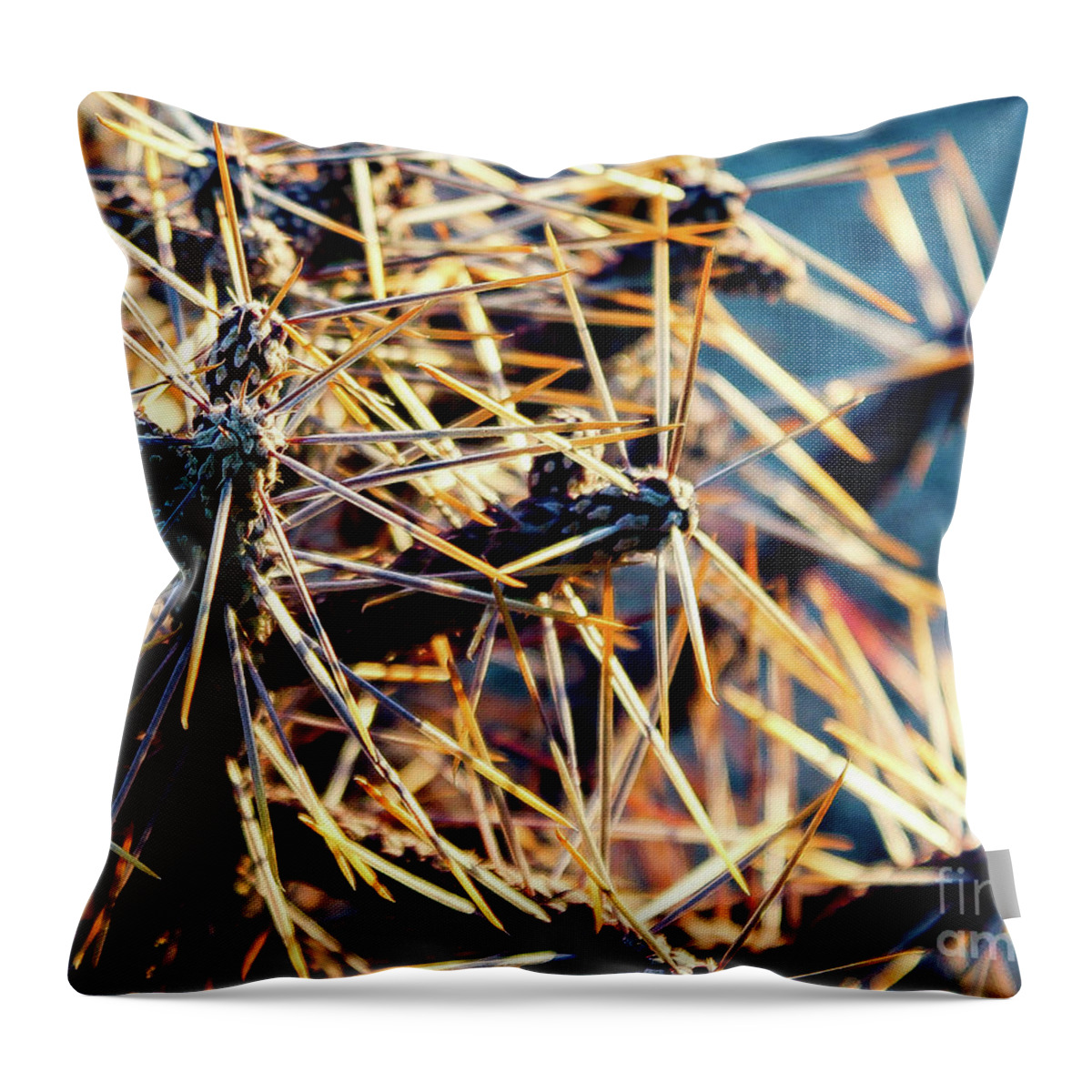 Cactus Throw Pillow featuring the photograph Looking Sharp by Adam Morsa