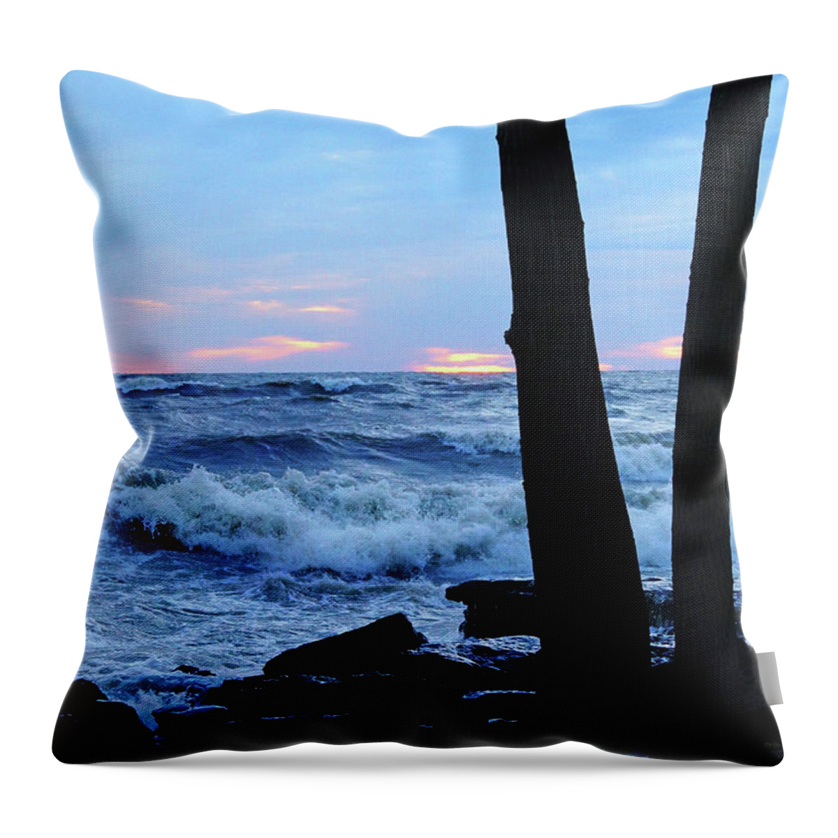 Lake Erie Throw Pillow featuring the photograph Looking Through the Trees by Mike Murdock