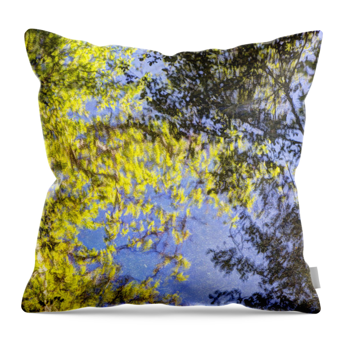  Throw Pillow featuring the photograph Looking Up Or Down by Heidi Smith