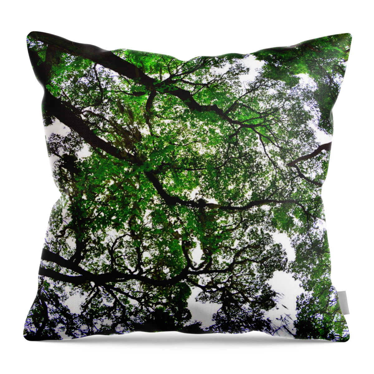 Looking Up The Oaks Throw Pillow featuring the photograph Looking Up The Oaks by Lisa Wooten