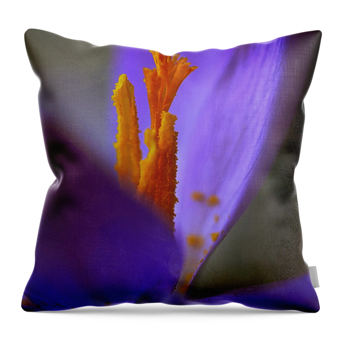 Crocus Throw Pillow featuring the photograph Looking Up To Spring by Rene Crystal
