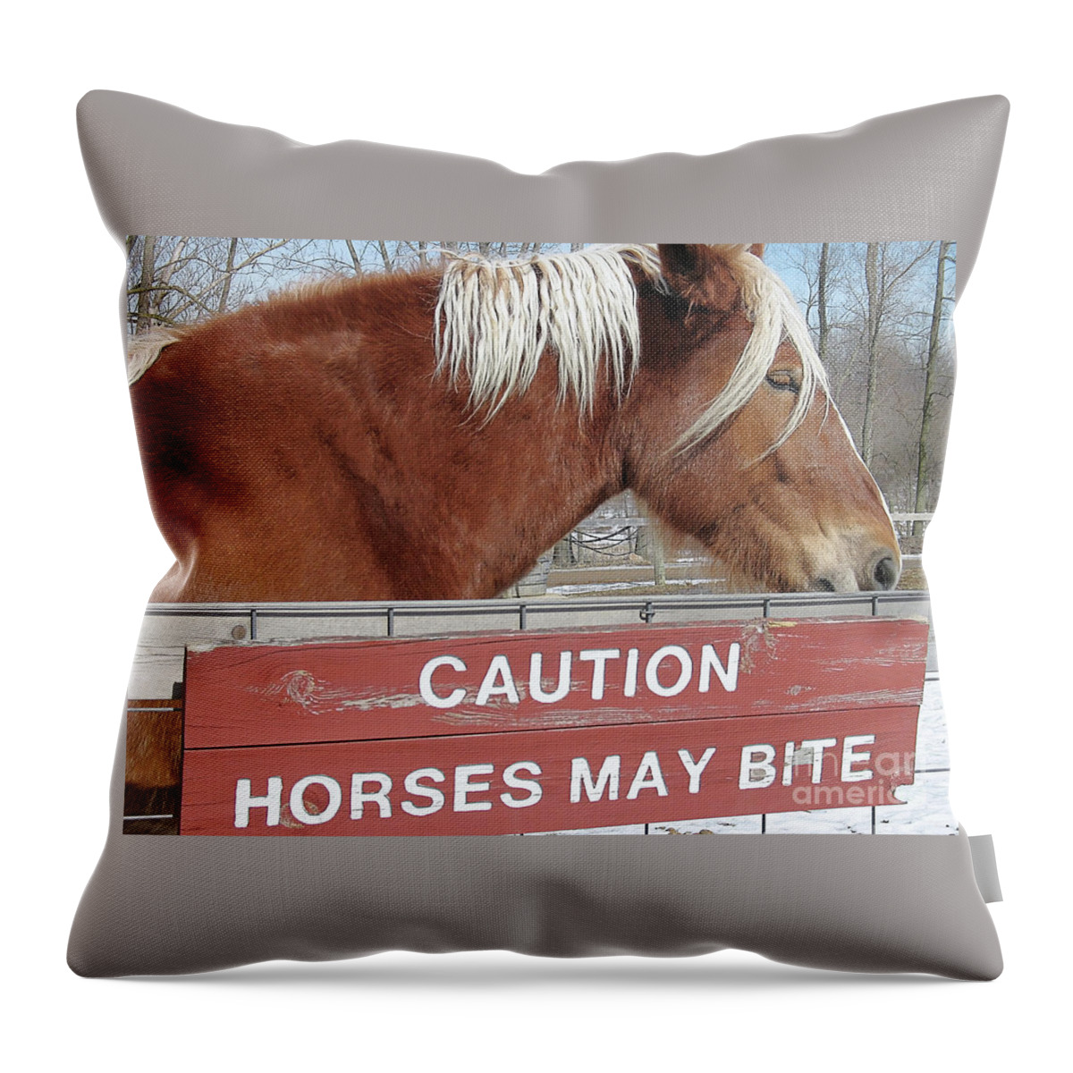 Barnyard Throw Pillow featuring the photograph Looks Can Be Deceiving by Ann Horn