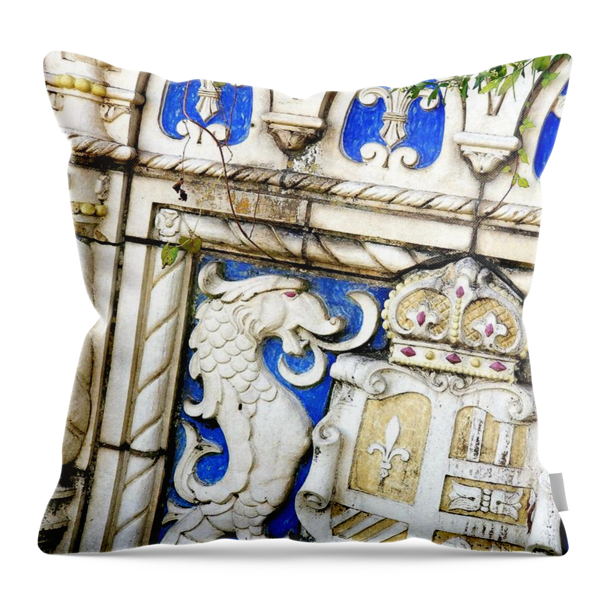 Architectural Detail Throw Pillow featuring the photograph Looks Like France by Amy Regenbogen