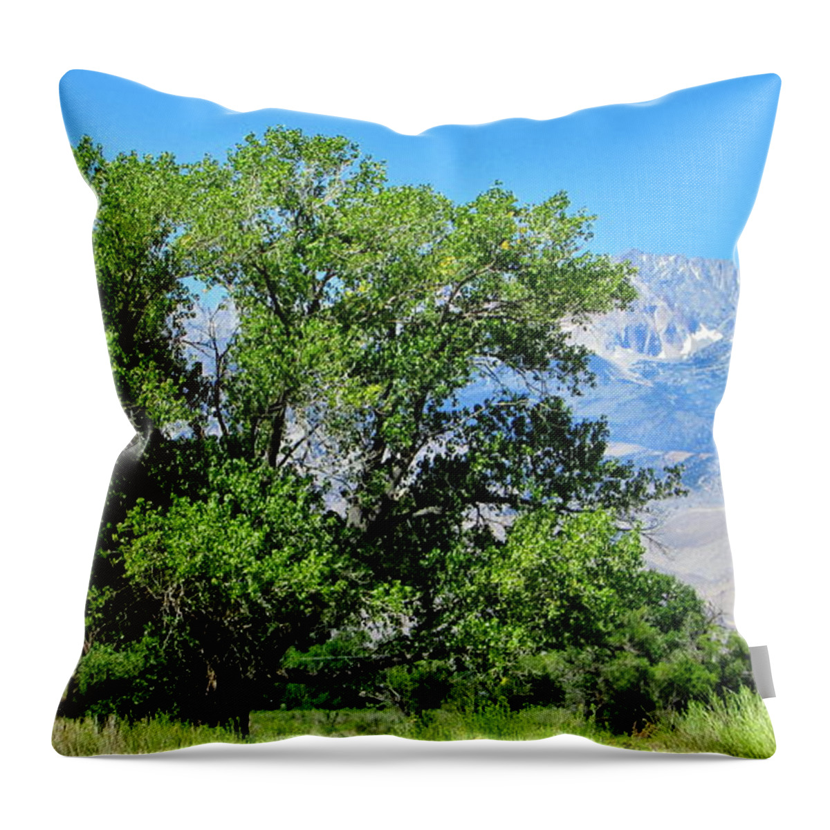 Sky Throw Pillow featuring the photograph Looming by Marilyn Diaz