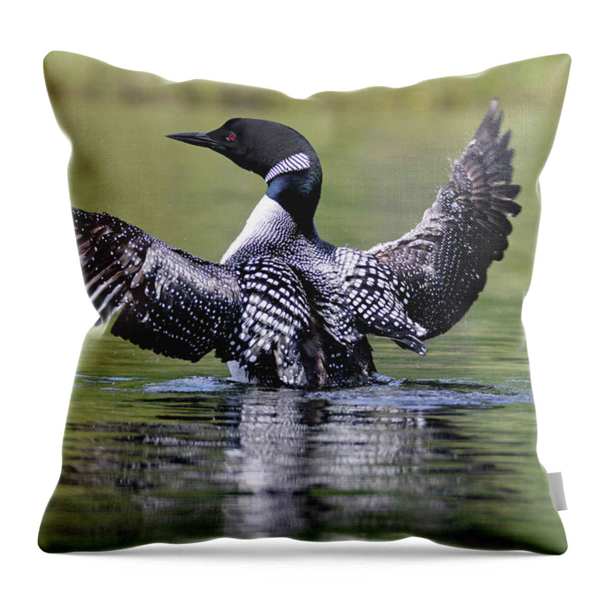 Loon Throw Pillow featuring the photograph Loon Wingspan by Brook Burling