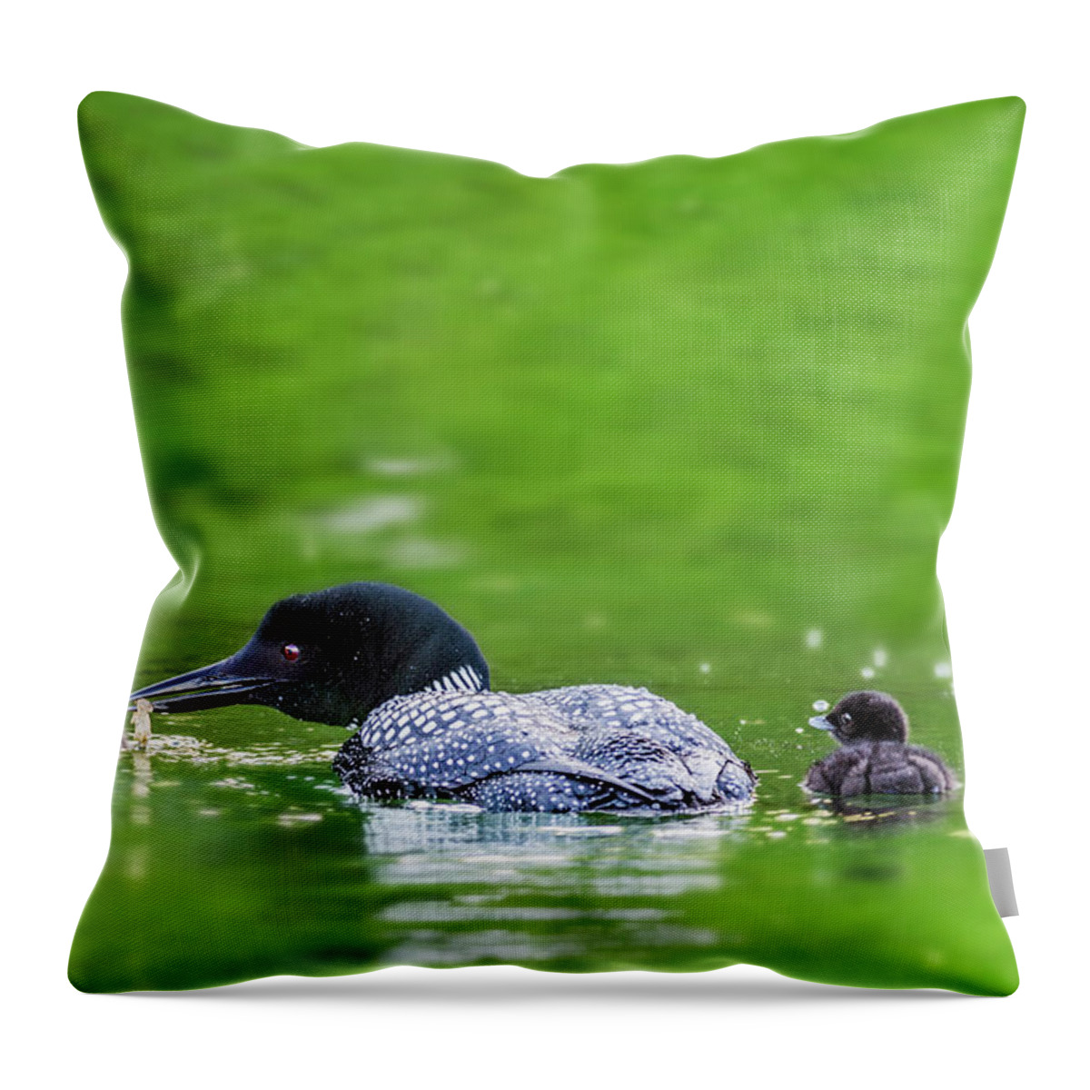 Common Loon Throw Pillow featuring the photograph Loon with Chicks by Peg Runyan
