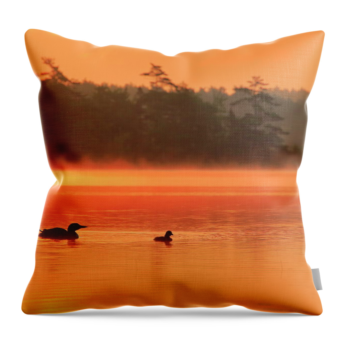 Loon Throw Pillow featuring the photograph Loon with young at sunrise, Nova Scotia by Gary Corbett