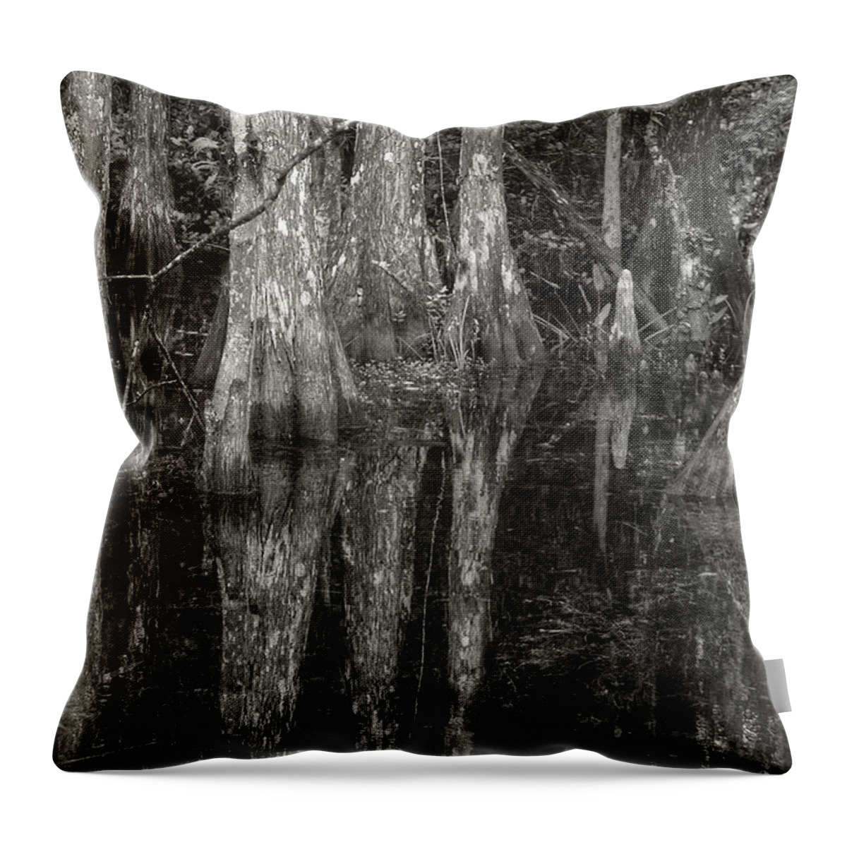  Throw Pillow featuring the photograph Loop Road Swamp #5 by Michael Kirk