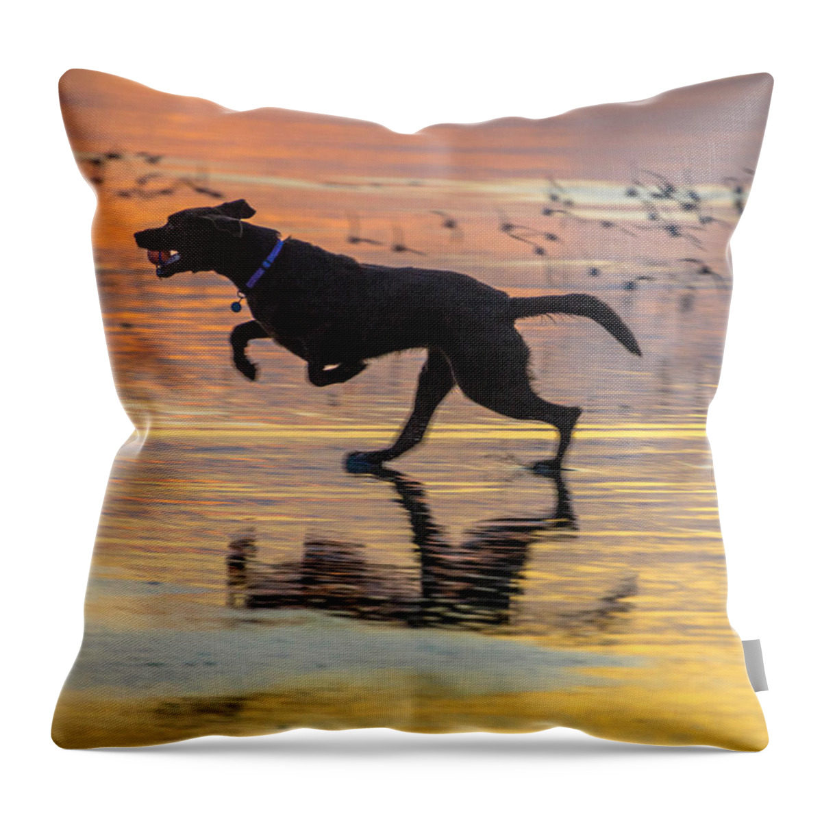 Dog Throw Pillow featuring the photograph Loping Dog by Jerry Cahill