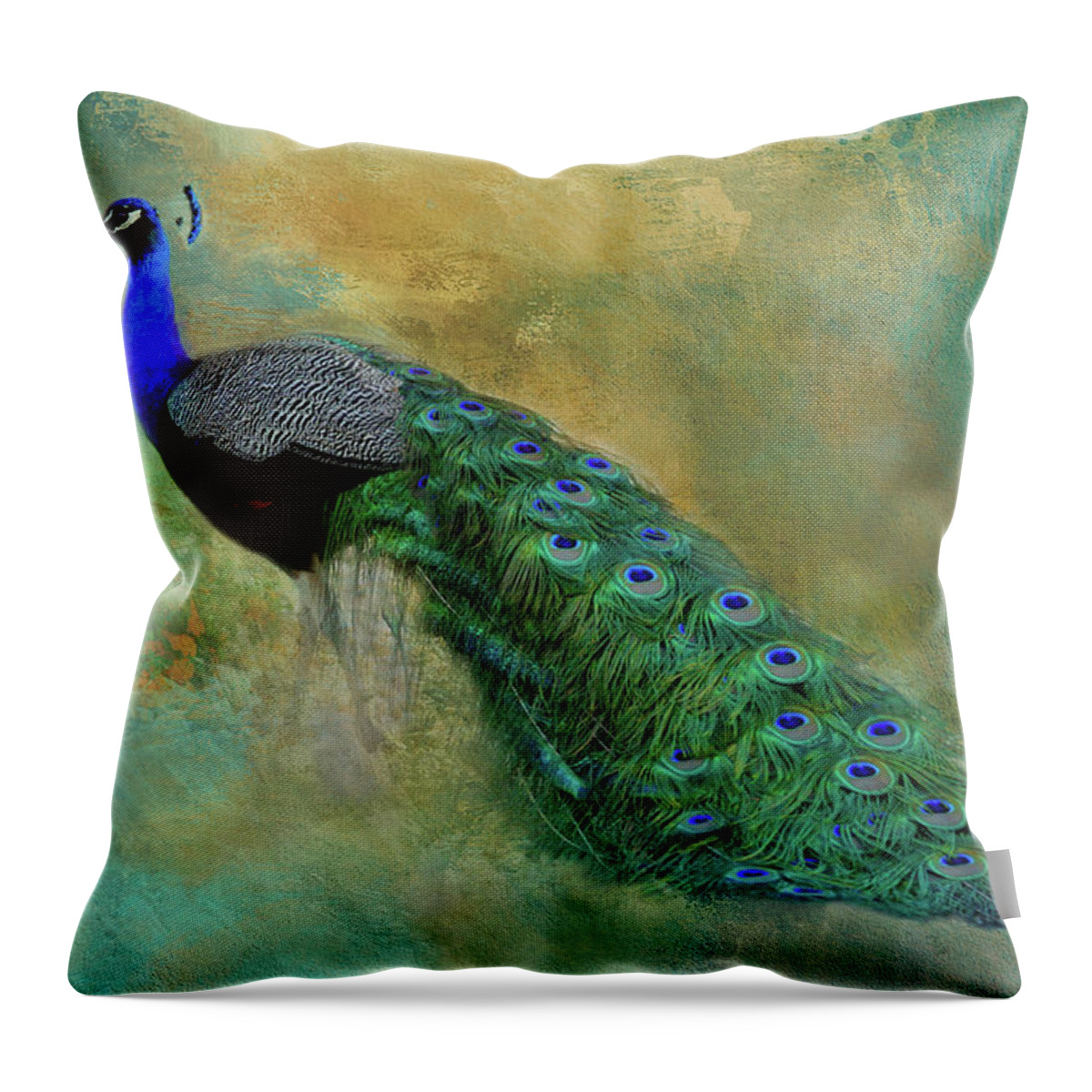 Peacock Throw Pillow featuring the photograph Lord Peacock by HH Photography of Florida