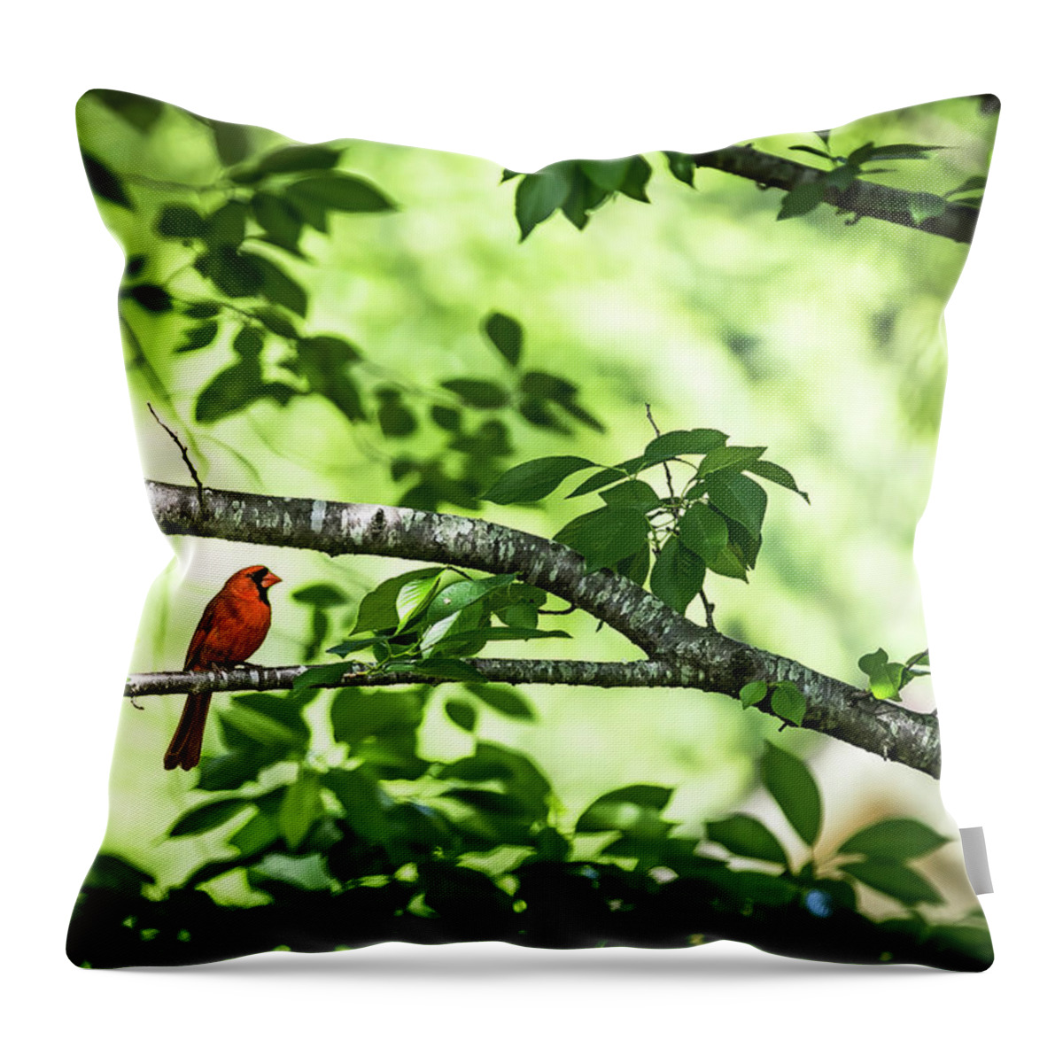 Policebird Throw Pillow featuring the digital art Lord Redbird and the Bokeh by Ed Stines