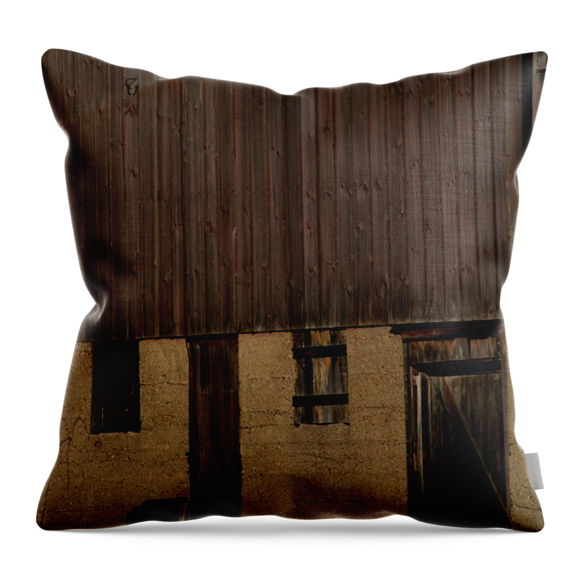 Barn Throw Pillow featuring the photograph Lost Behind These Walls by Linda Shafer