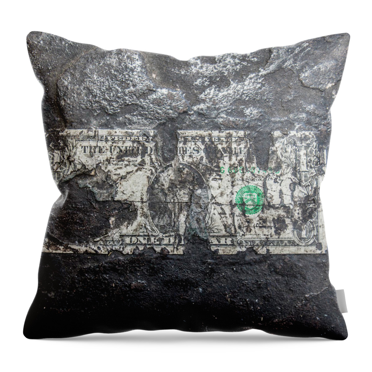 Dollar Throw Pillow featuring the photograph Lost One by Jason Hughes