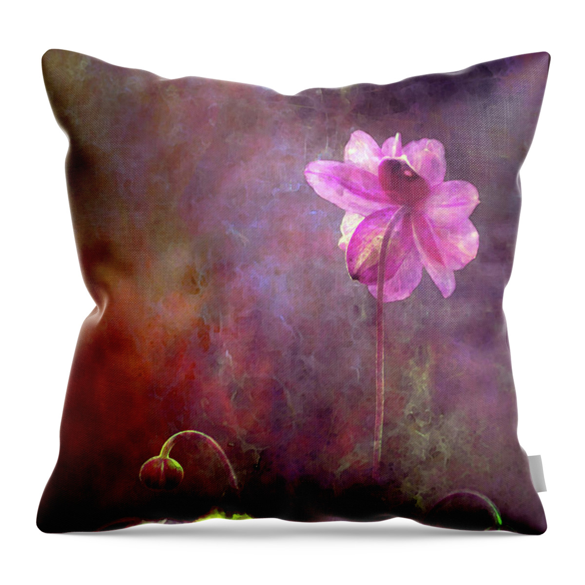 Lost Throw Pillow featuring the photograph Lost Turning Away 3860 LW_2 by Steven Ward