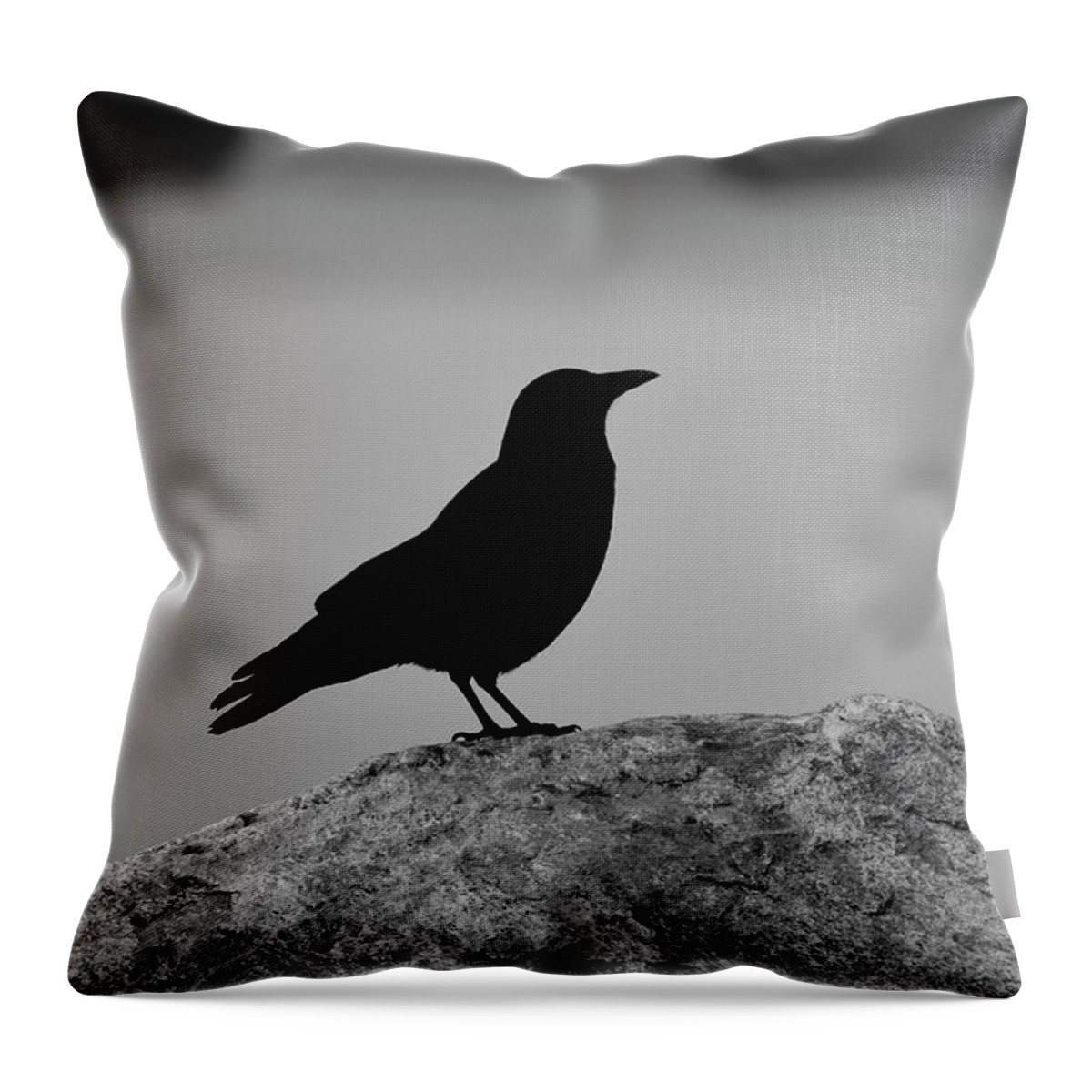 Birds Throw Pillow featuring the photograph Lost wings by J C