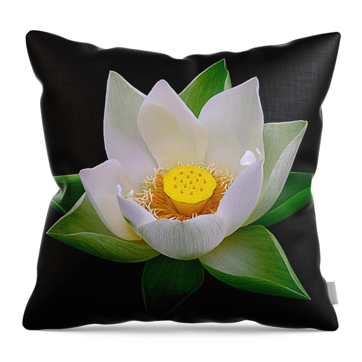 Lotus Throw Pillow featuring the photograph Lotus Blooming by Julie Palencia