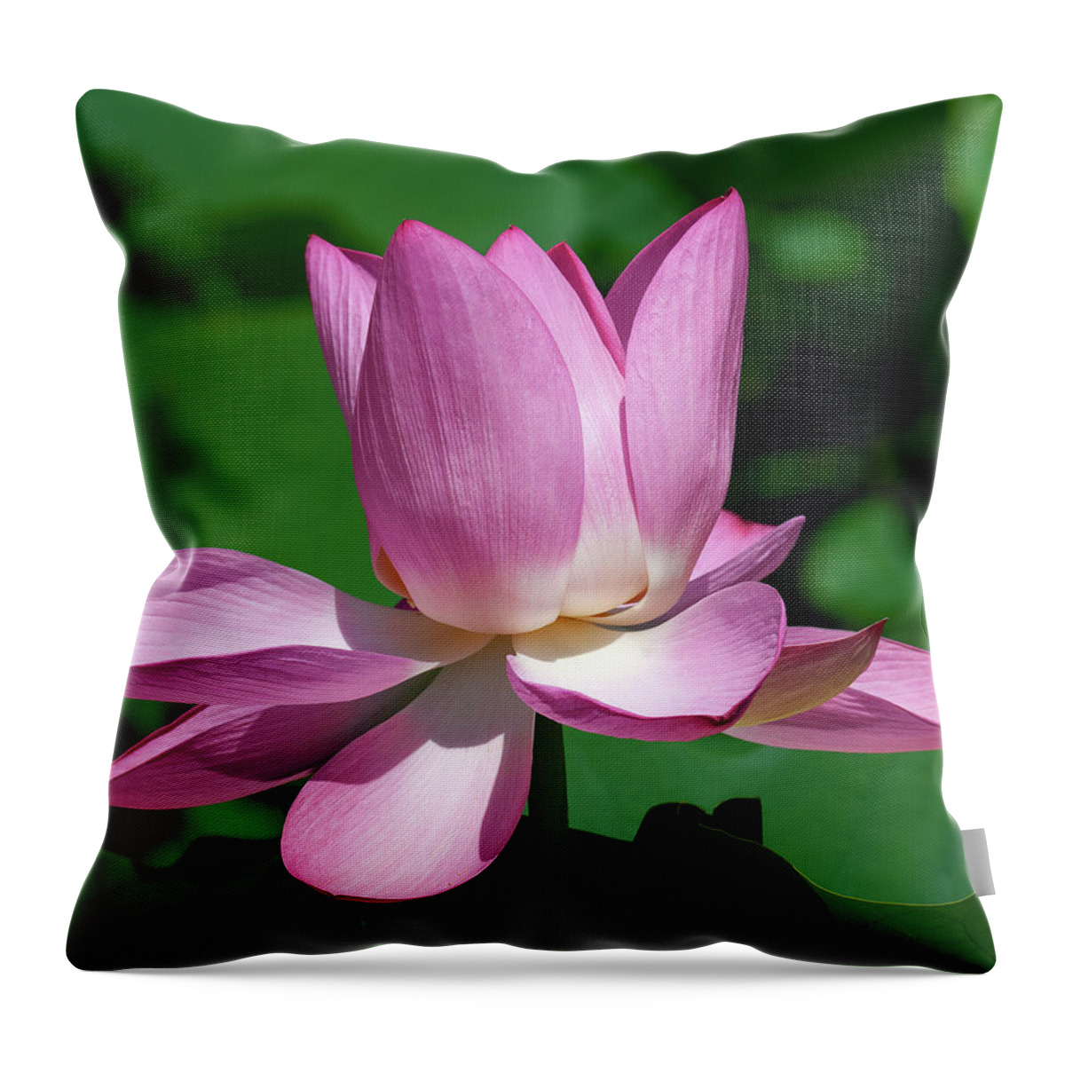 Lotus Throw Pillow featuring the photograph Lotus Bud--Almost There ii DL0097 by Gerry Gantt