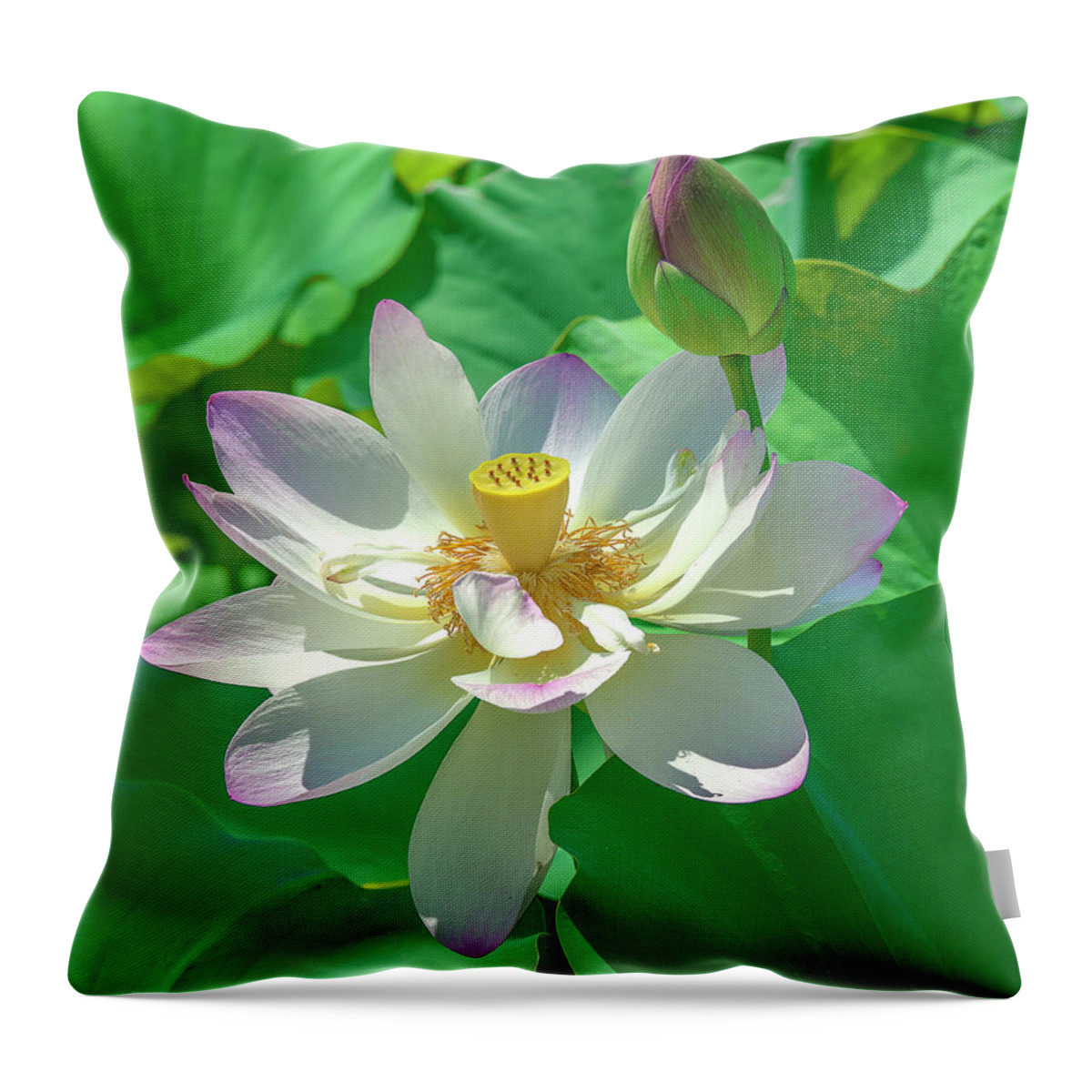 Lotus Throw Pillow featuring the photograph Lotus--Fading i DL0079 by Gerry Gantt