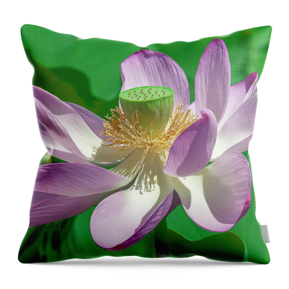 Lotus Throw Pillow featuring the photograph Lotus--Fading ii DL0080 by Gerry Gantt