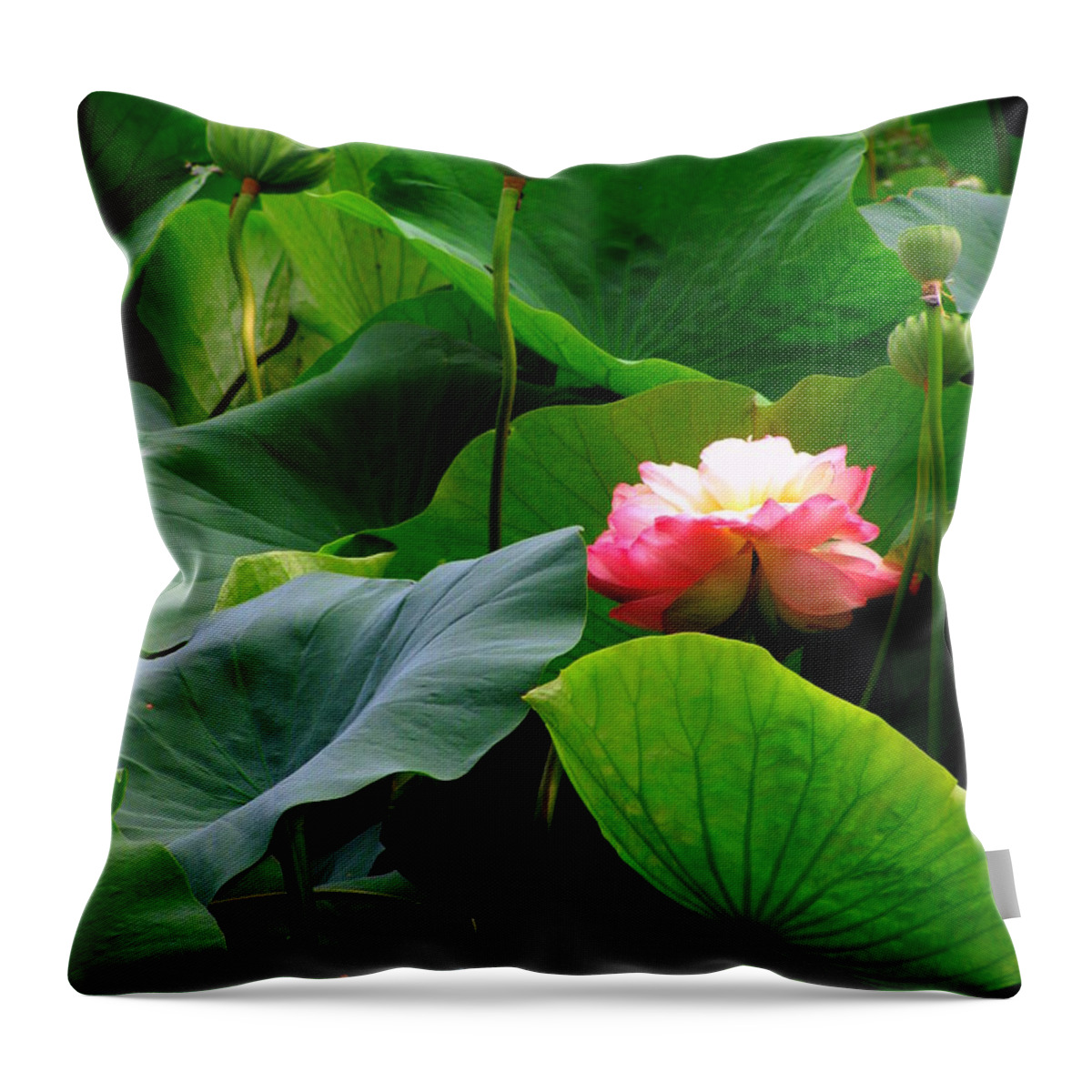 Lotus Throw Pillow featuring the photograph Lotus Forms by Deborah Crew-Johnson