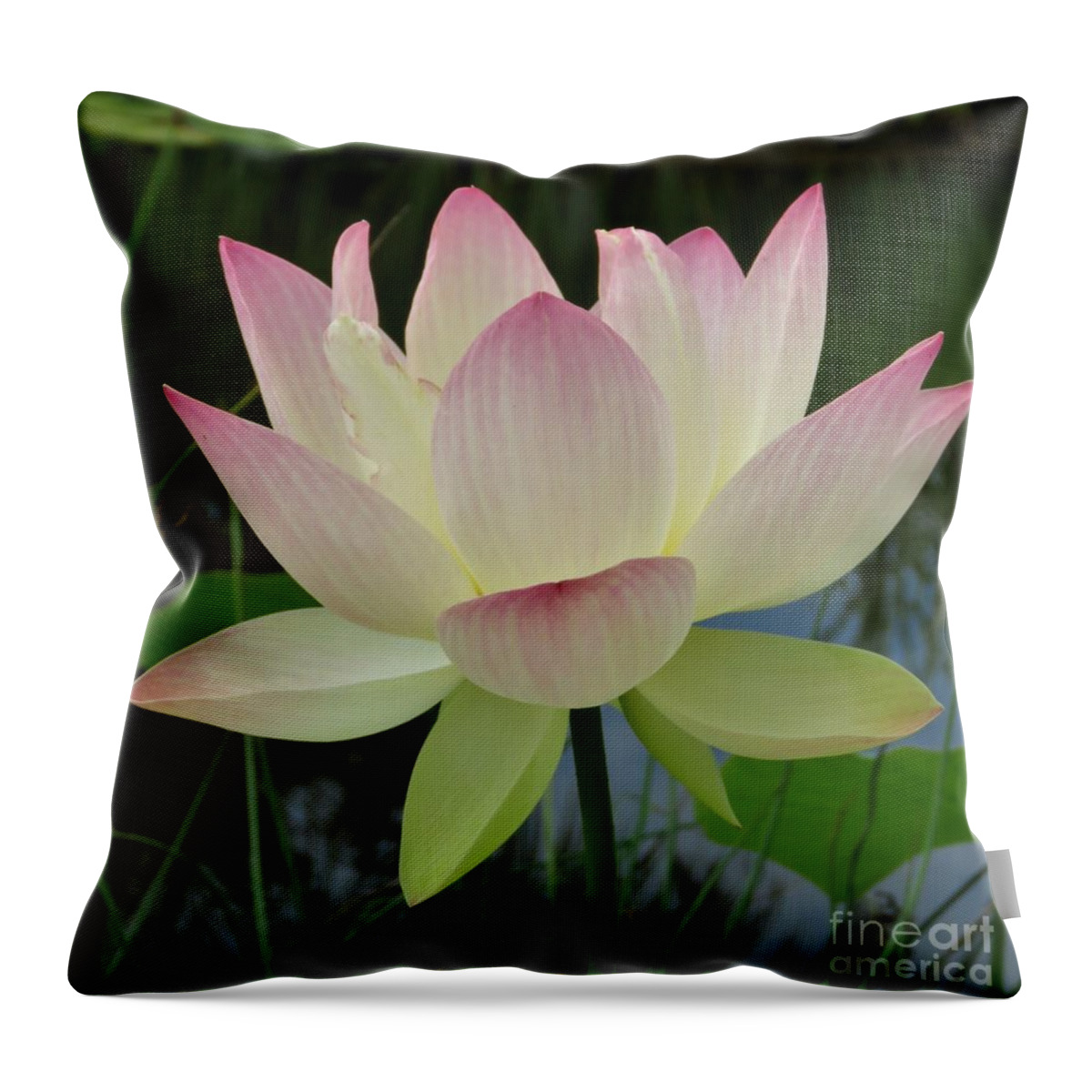 Flower Throw Pillow featuring the photograph Lotus in Full Bloom II by Anita Adams