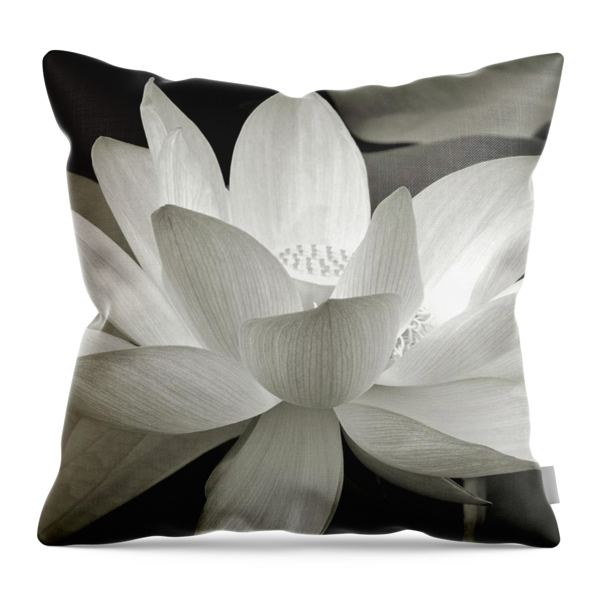 Lotus Throw Pillow featuring the photograph Lotus by Jennifer Wheatley Wolf