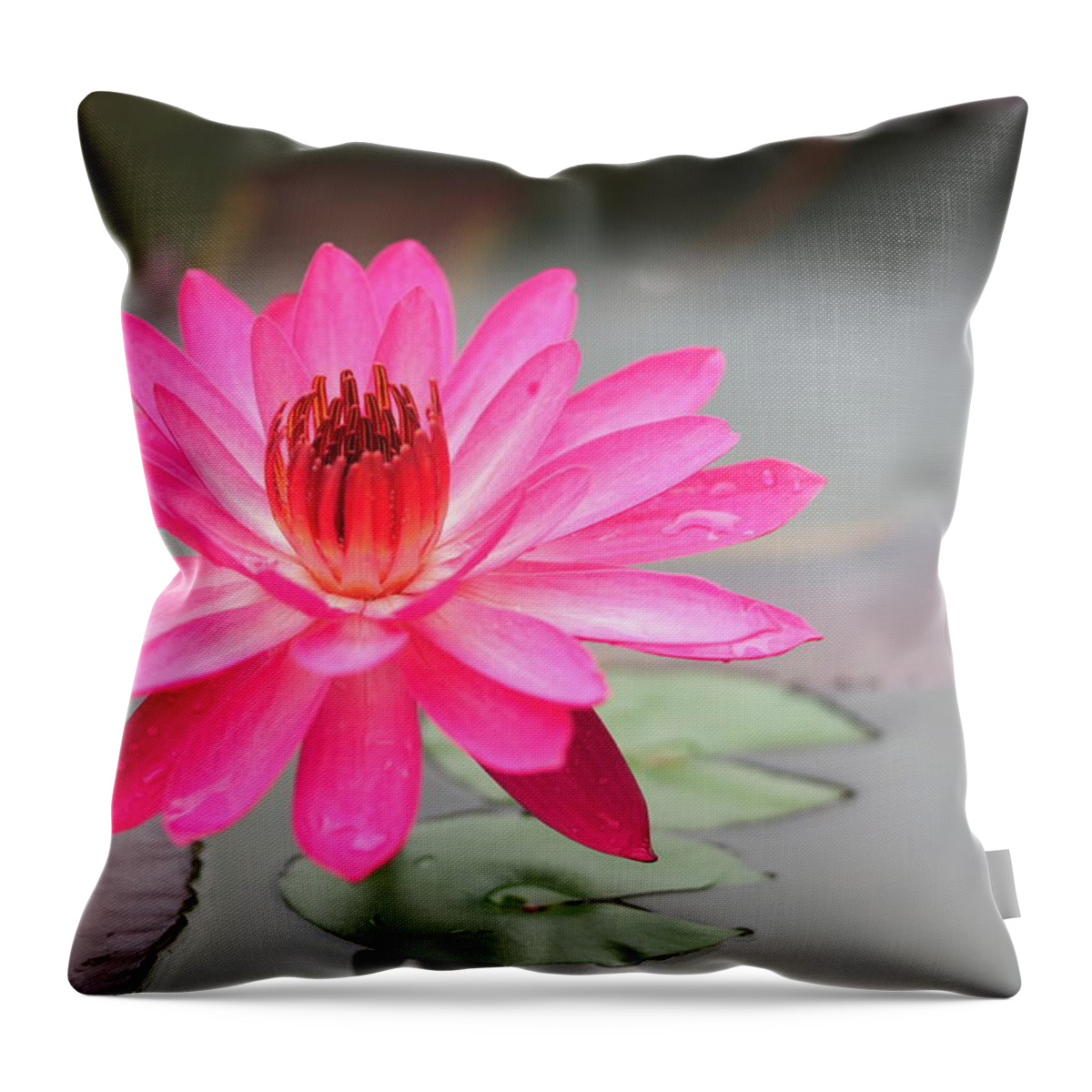 Lotus Throw Pillow featuring the photograph Lotus Pond by Ivan Franklin
