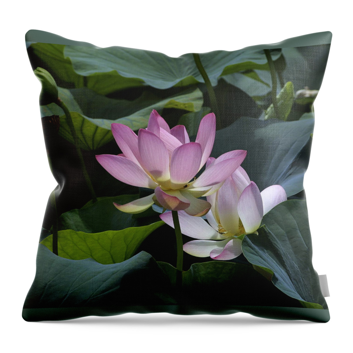 Lotus Throw Pillow featuring the photograph Lotus by Raffaella Lunelli