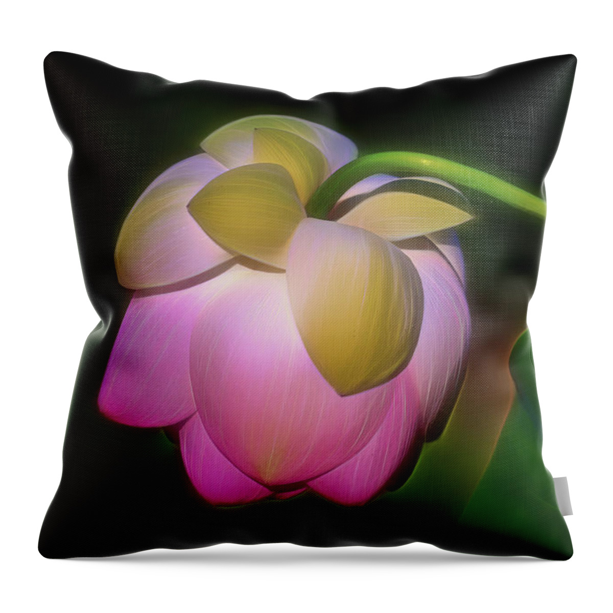 Flora Throw Pillow featuring the photograph Lotus, Upside Down by Cindy Lark Hartman