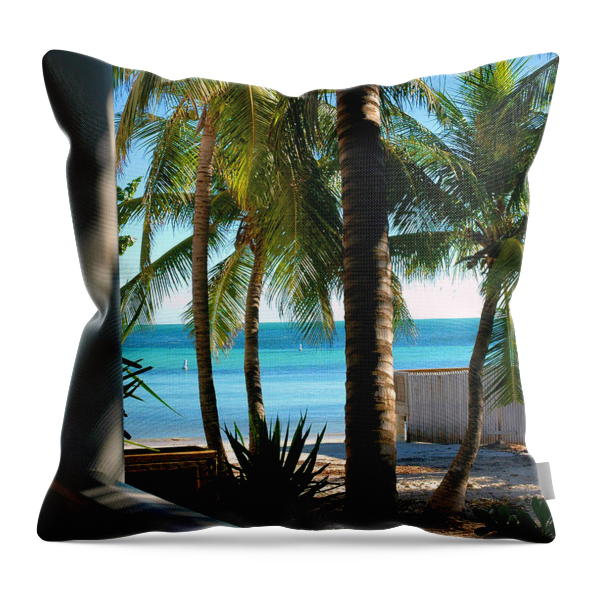 Photos Of Key West Throw Pillow featuring the photograph Louie's Backyard by Susanne Van Hulst