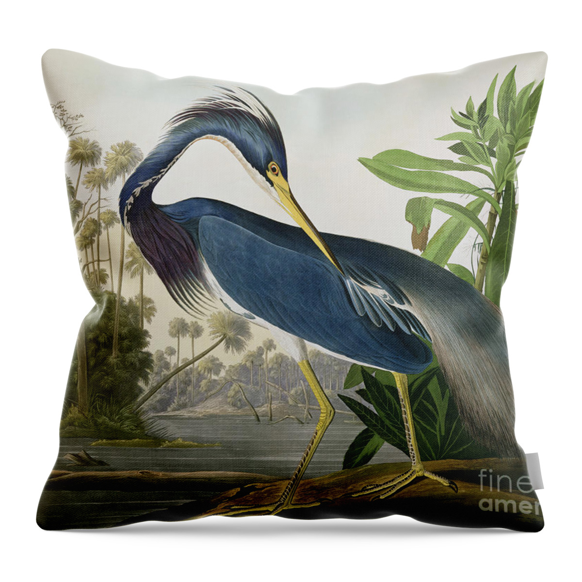 #faatoppicks Throw Pillow featuring the painting Louisiana Heron by John James Audubon