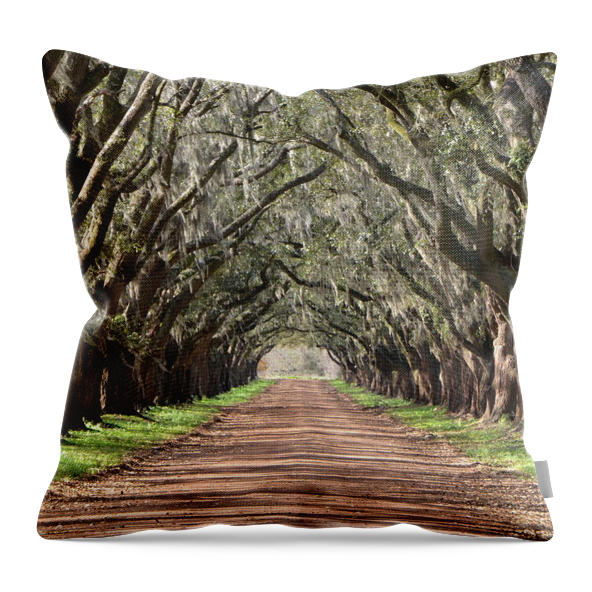 Oak Throw Pillow featuring the photograph Louisiana Oaks by Charlotte Schafer