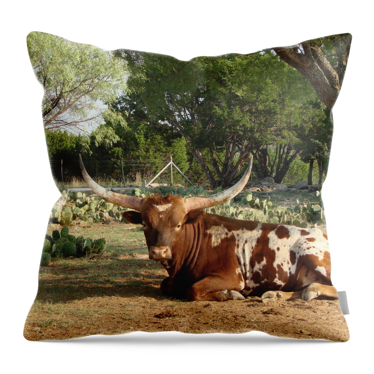 Linda Cox Throw Pillow featuring the photograph Laid Back Longhorn by Linda Cox