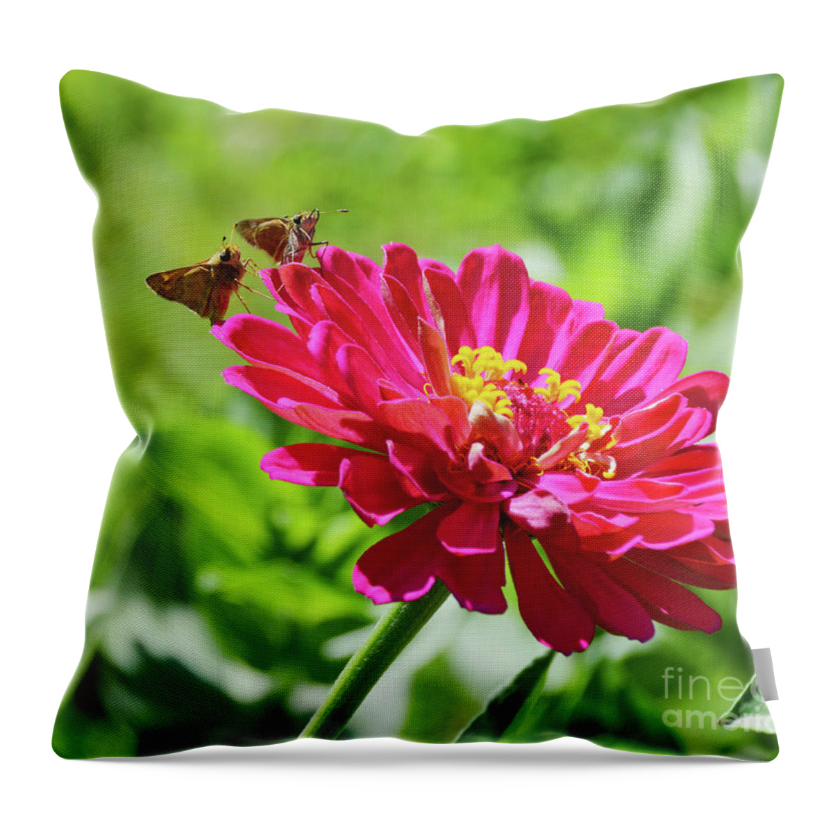 Robyn King Throw Pillow featuring the photograph Love At First Flight by Robyn King
