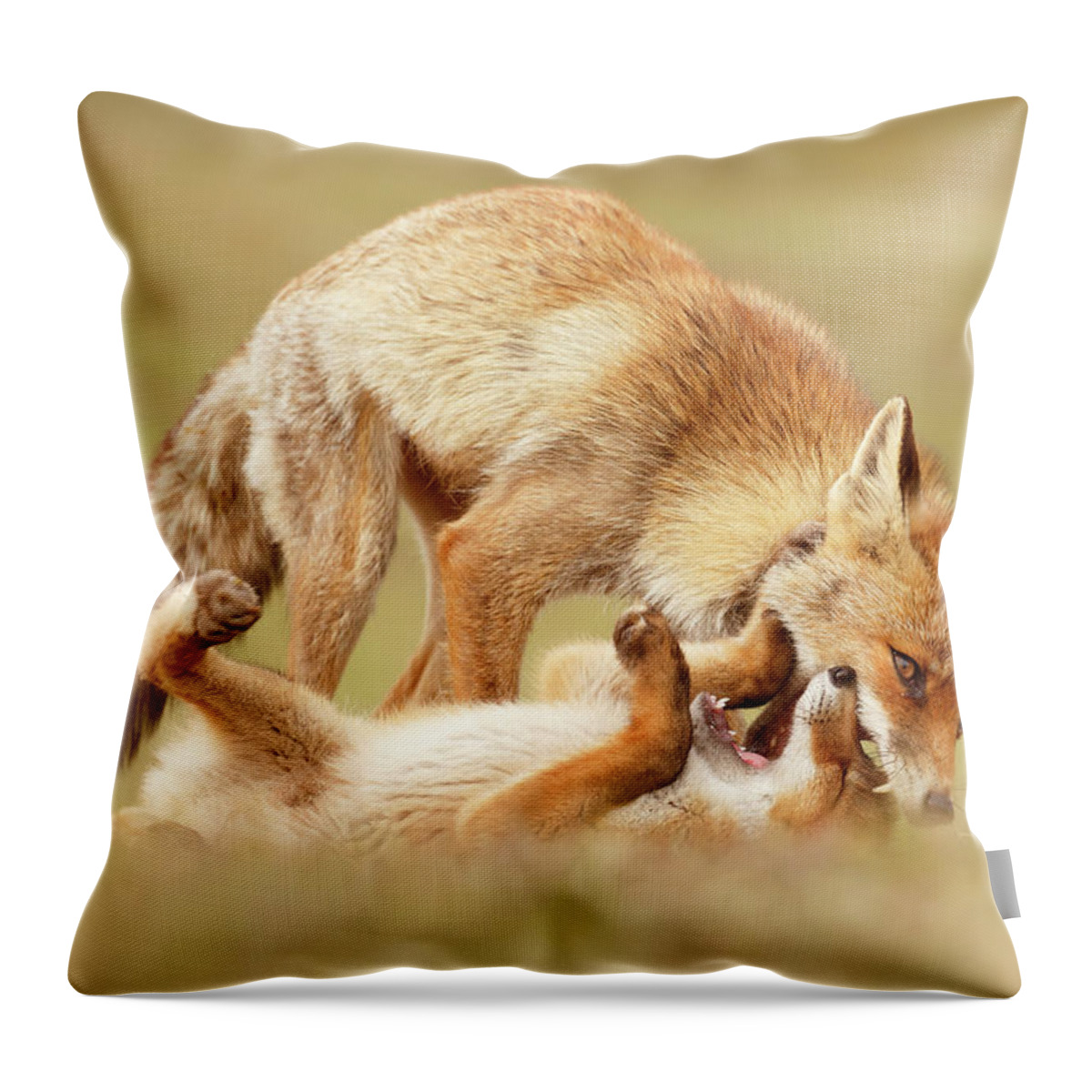 Red Fox Throw Pillow featuring the photograph Love Bites - Mother fox and fox kit by Roeselien Raimond