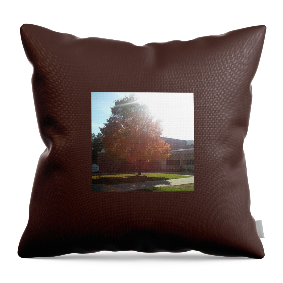Fall Throw Pillow featuring the photograph Love Fall by Brittany Smith