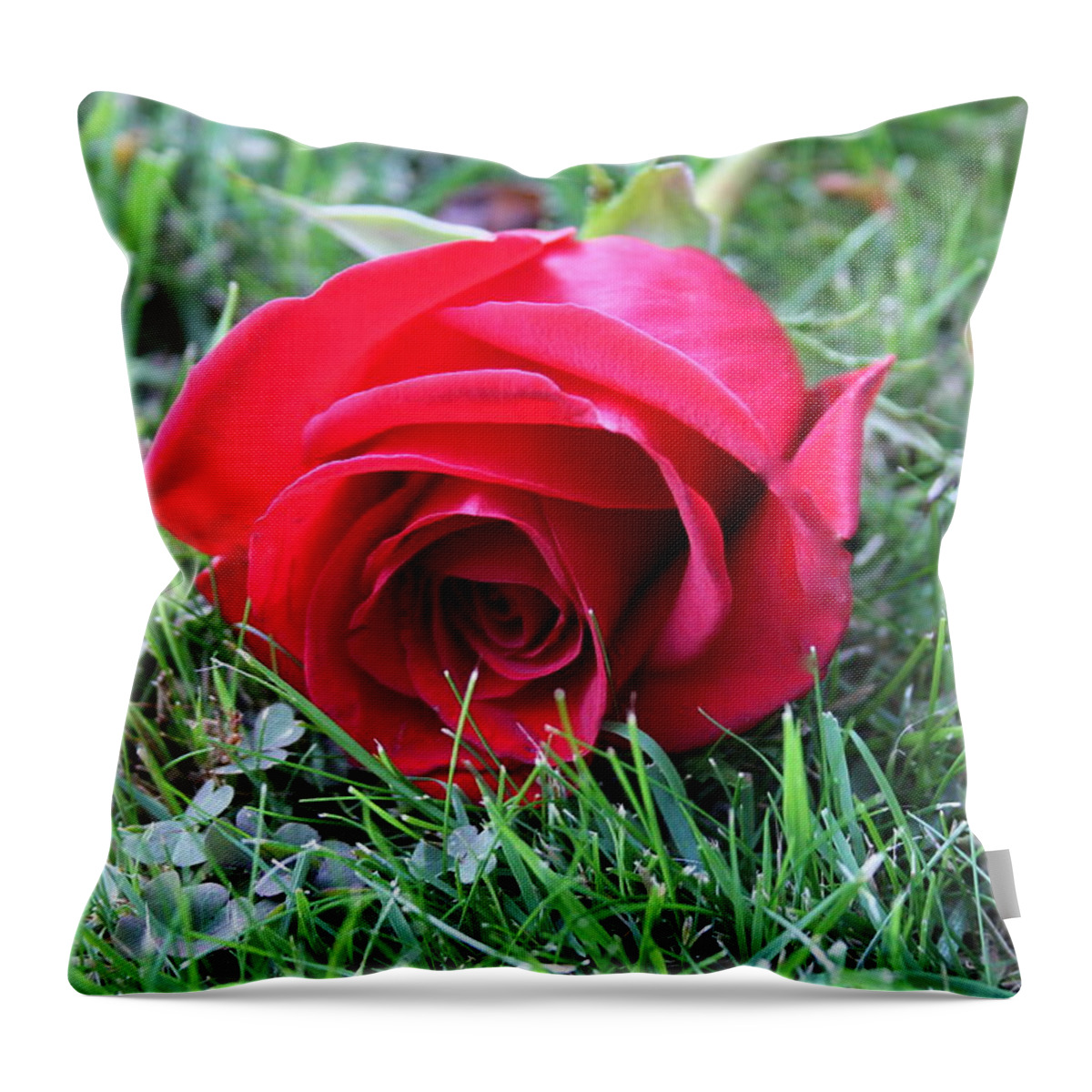 A Red Rose Photographed In An Urban Field In The Summer Of 2014.  Throw Pillow featuring the photograph Love in Red and Clover by Floral Notes By D
