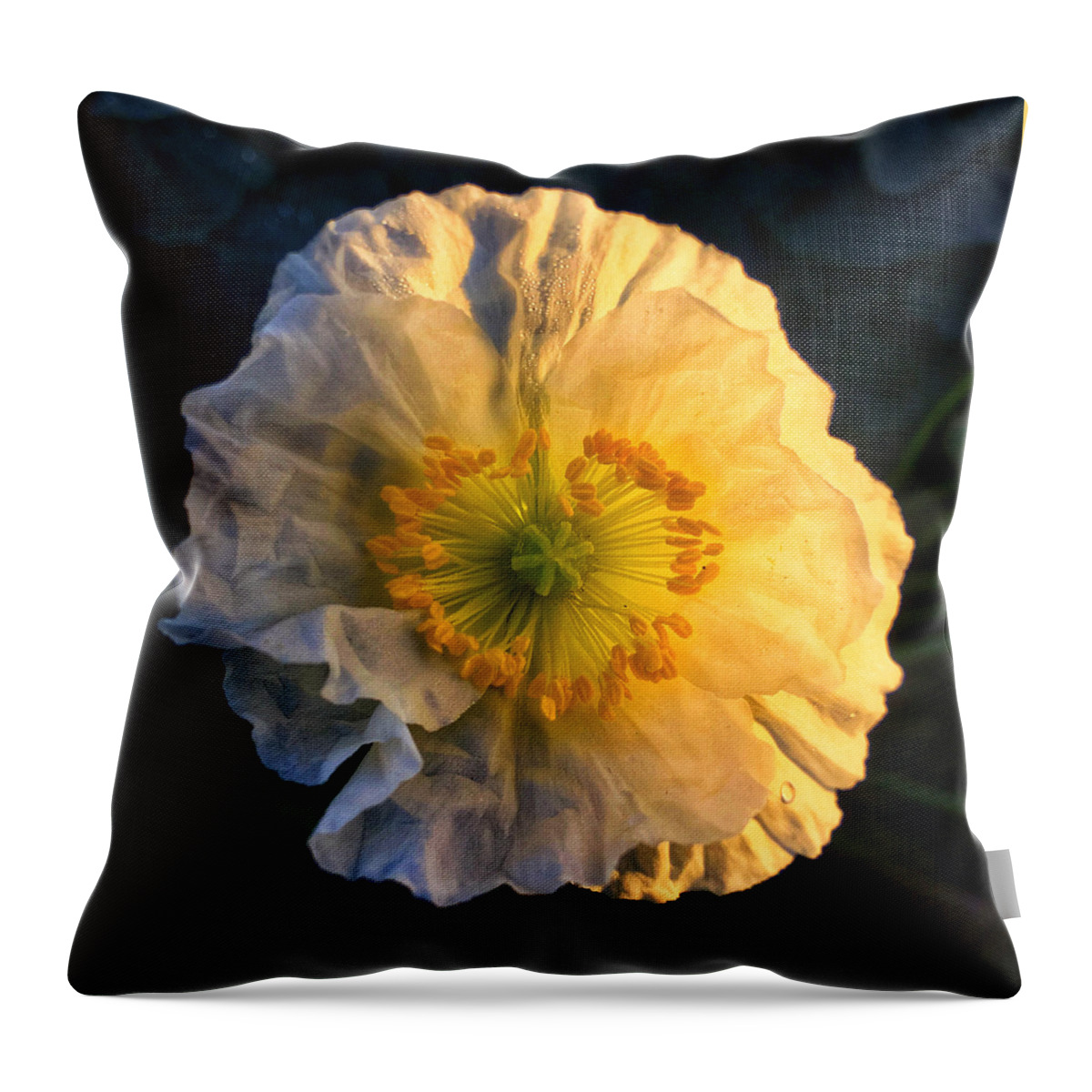 Macro Throw Pillow featuring the photograph Love in the Morning by Nathan Little