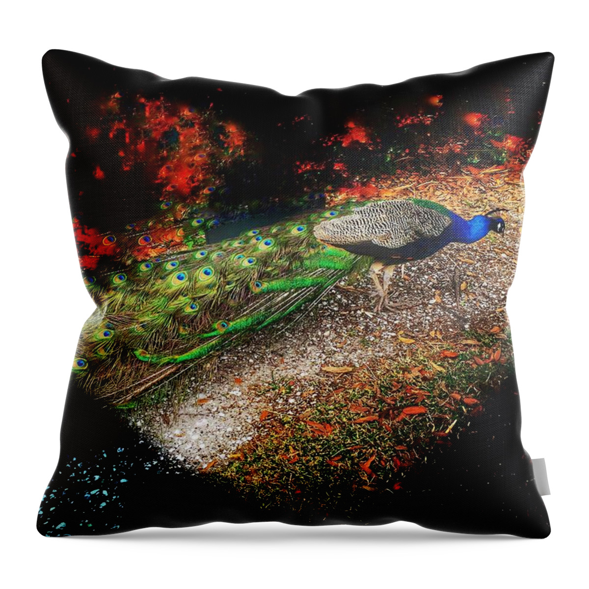 Peacock Throw Pillow featuring the photograph Love of Peacock by Anne Sands