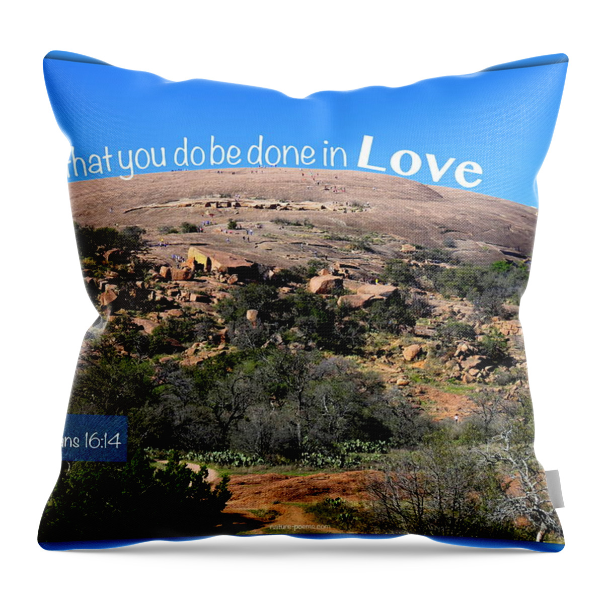  Throw Pillow featuring the photograph Love6 by David Norman