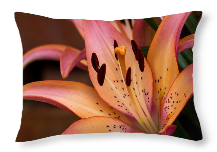 Art Prints Throw Pillow featuring the photograph Lovely Colors by Dave Bosse