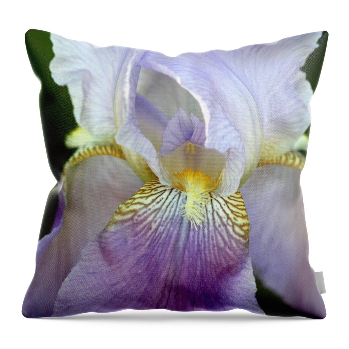 Nature Throw Pillow featuring the photograph Lovely in Lavender by Sheila Brown