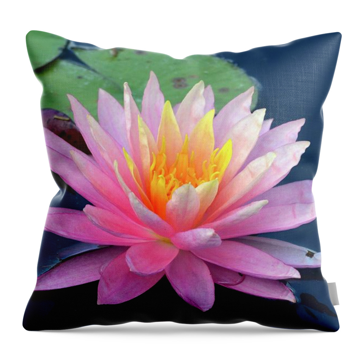 Lily Throw Pillow featuring the photograph Lovely Pink Water Lily by Richard Bryce and Family