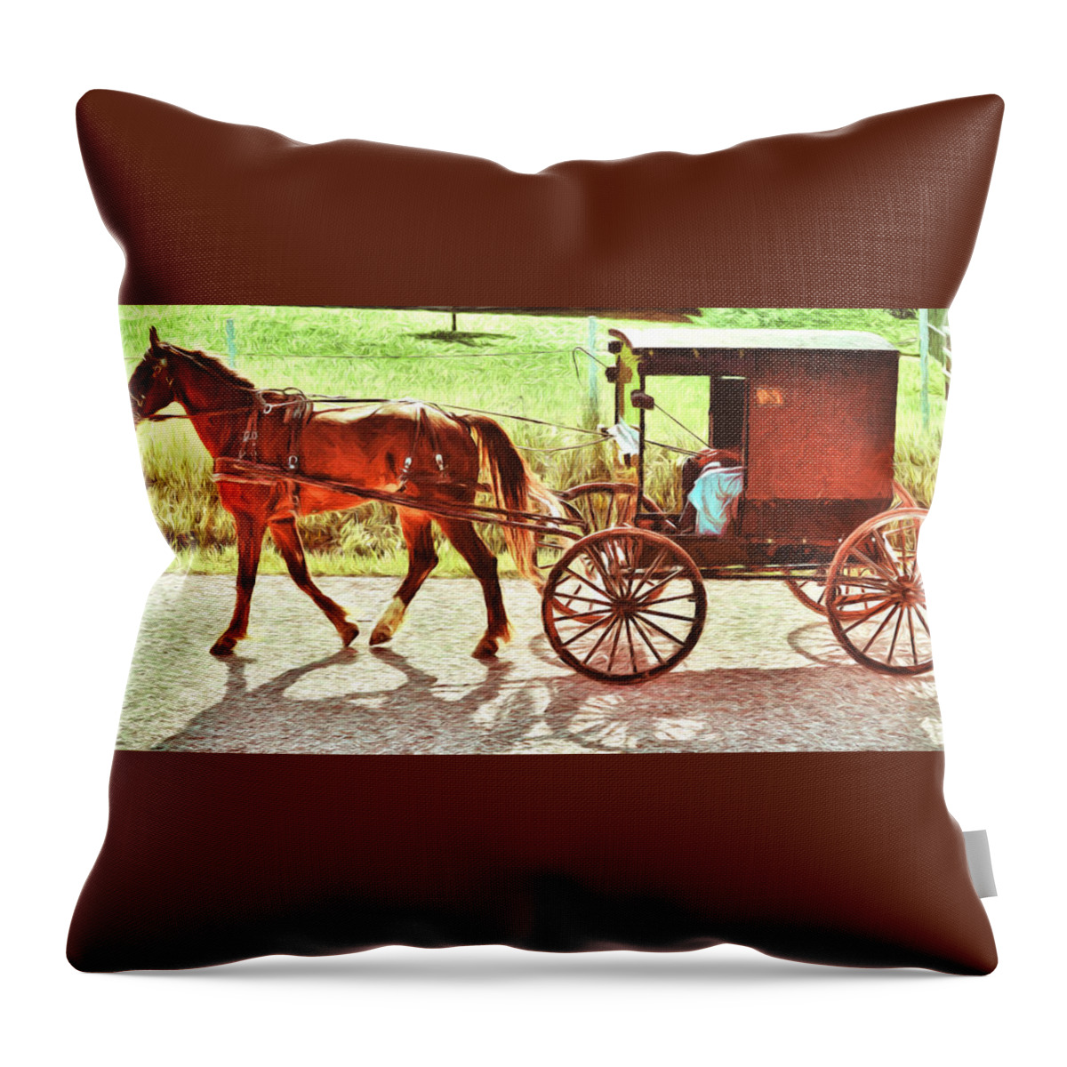 Amish Throw Pillow featuring the photograph Lovers Red Pony by Anthony Baatz