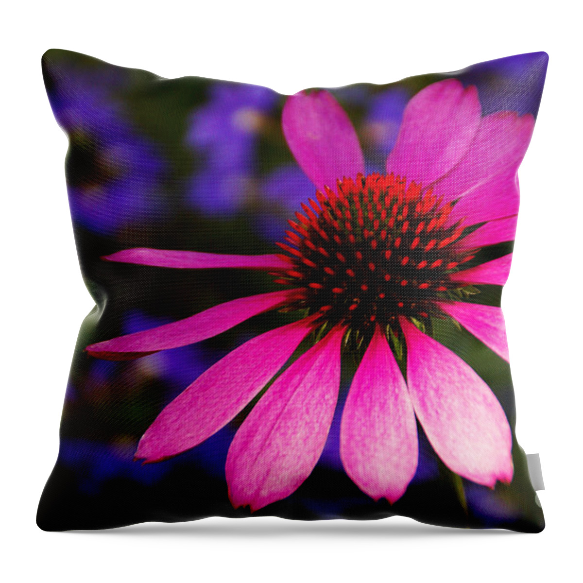 Flower Throw Pillow featuring the photograph Loves Me Loves Me Not by Linda Shafer