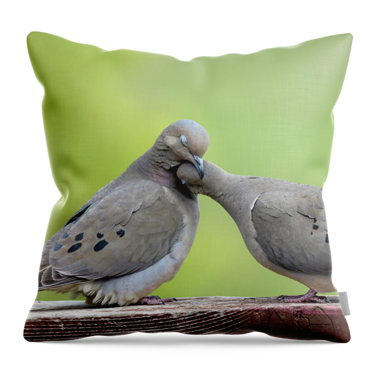Mourning Doves Throw Pillow featuring the photograph Lovey Doveys by Judi Dressler