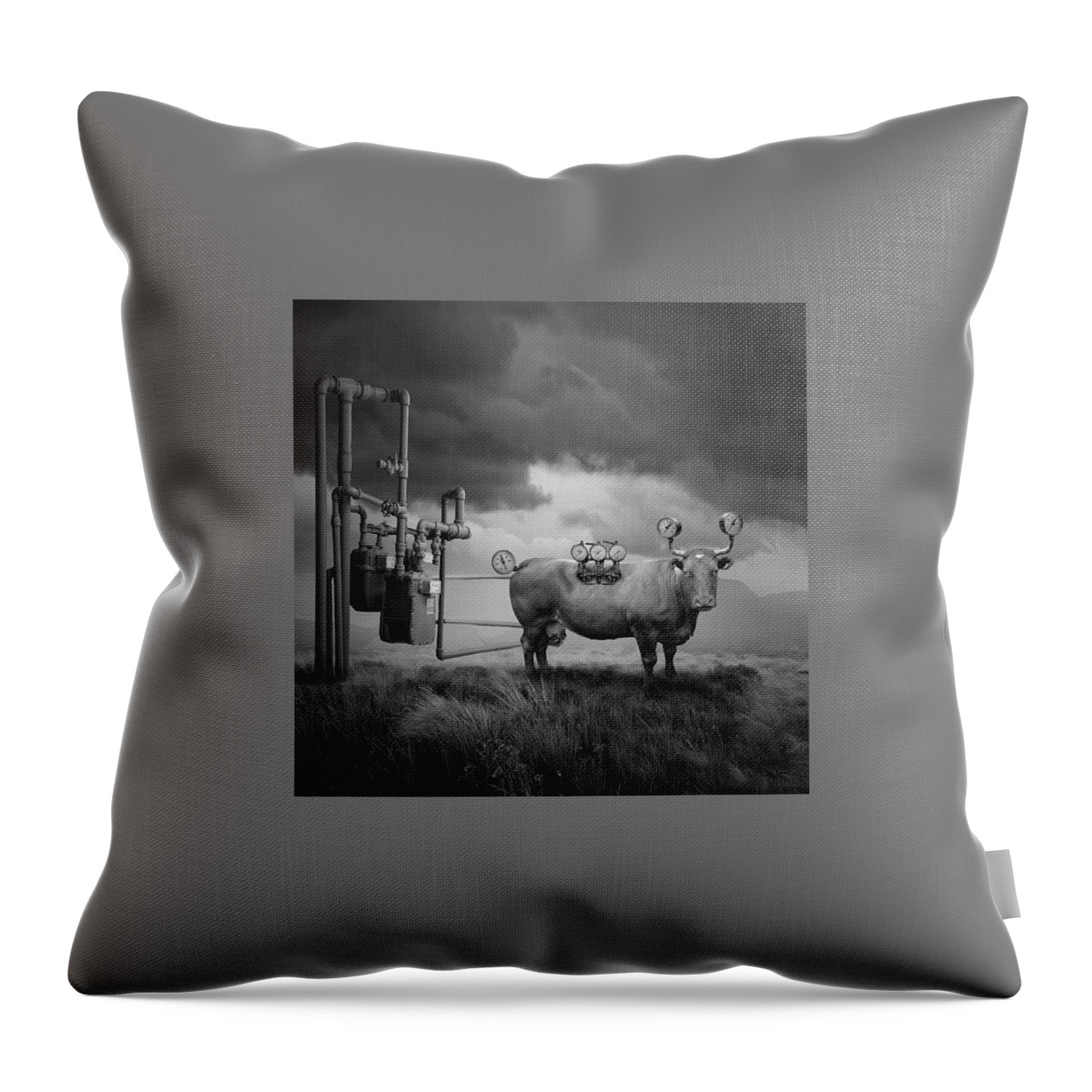 Cow Throw Pillow featuring the photograph Low pressure by Tomasz Zaczeniuk