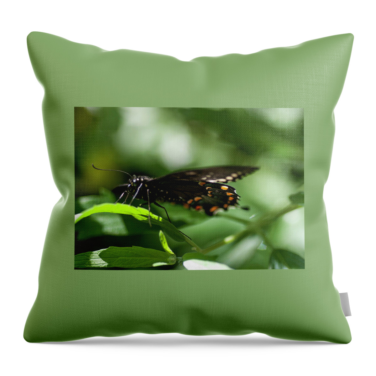 Photography Throw Pillow featuring the photograph Low Profile by Kathleen Messmer