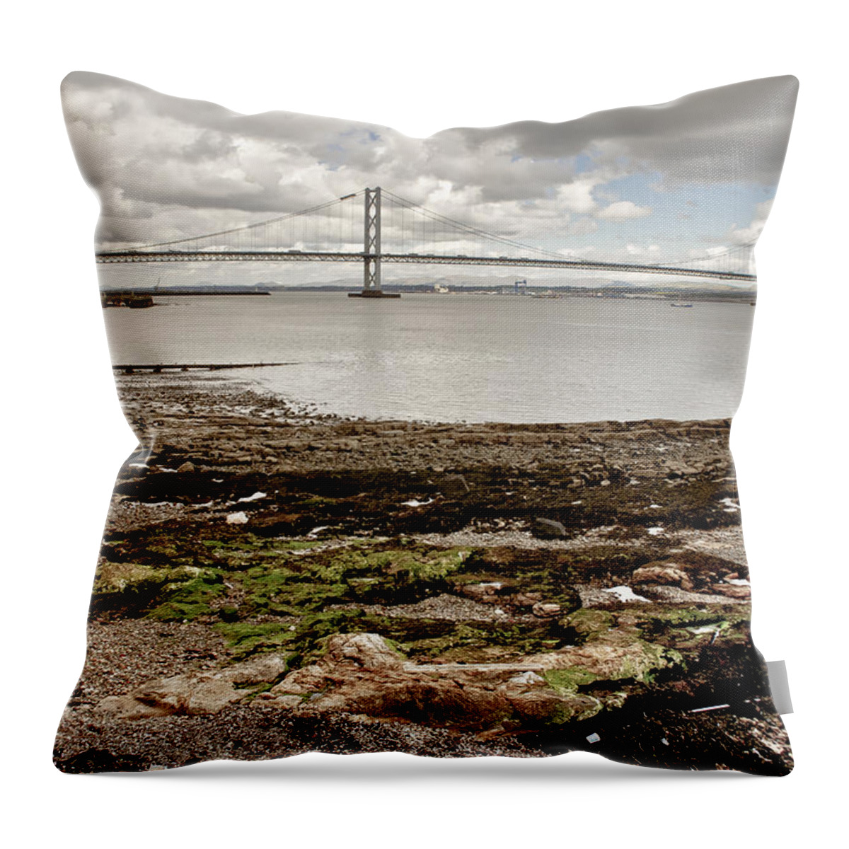 Silver Throw Pillow featuring the photograph Low tide and silver air. by Elena Perelman