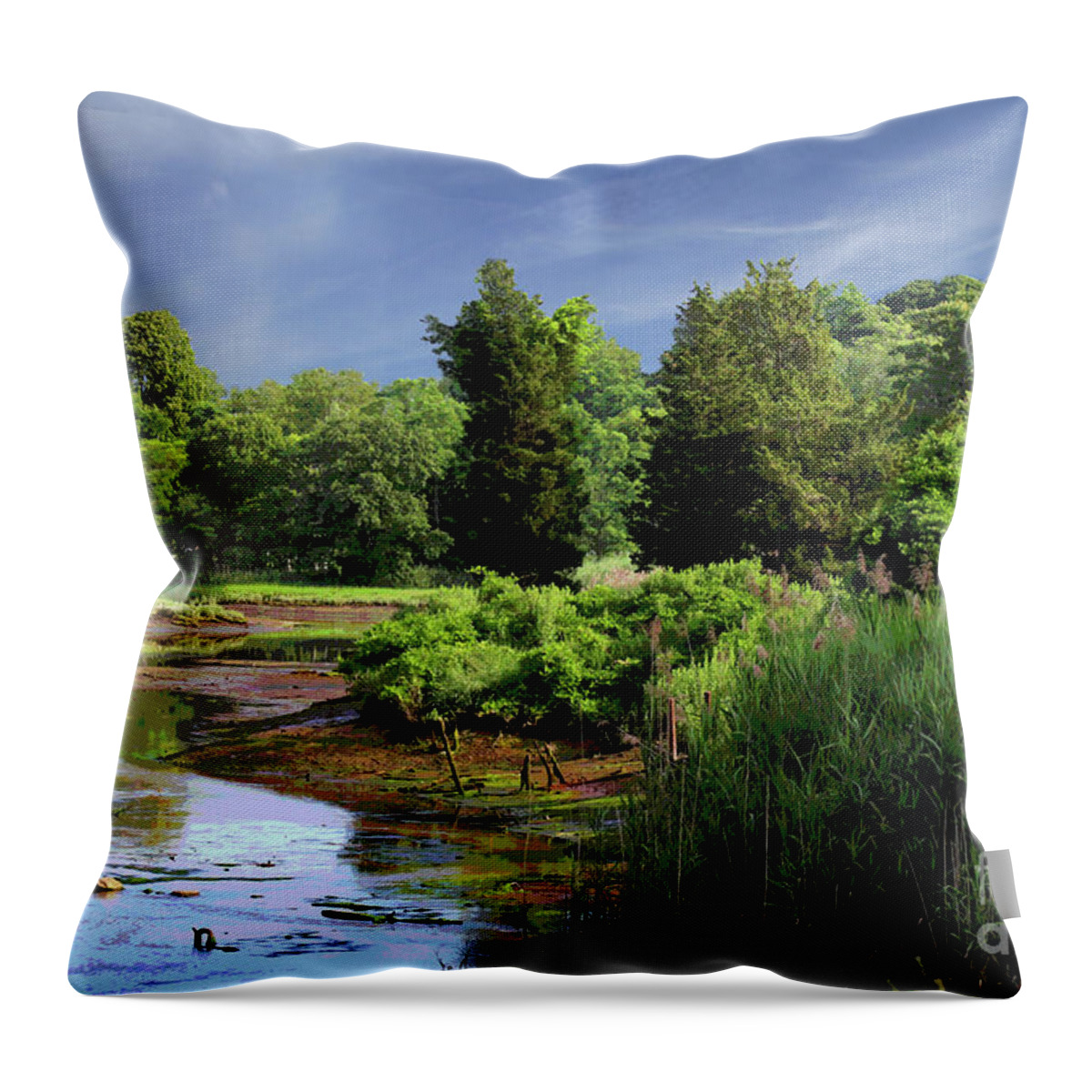 Landscape Throw Pillow featuring the digital art Low Tide at the Grist Mill by Jack Ader